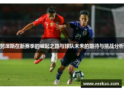 努涅斯在新赛季的崛起之路与球队未来的期待与挑战分析