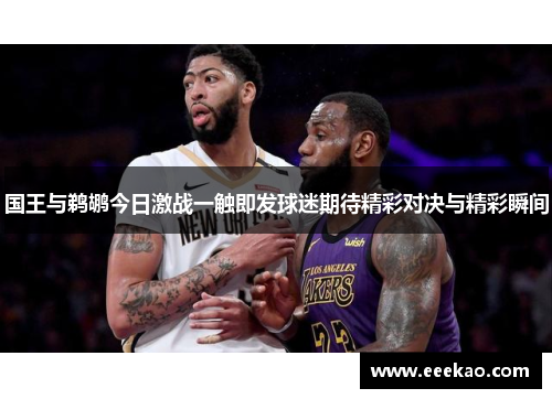 国王与鹈鹕今日激战一触即发球迷期待精彩对决与精彩瞬间