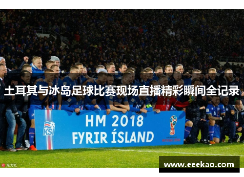 土耳其与冰岛足球比赛现场直播精彩瞬间全记录