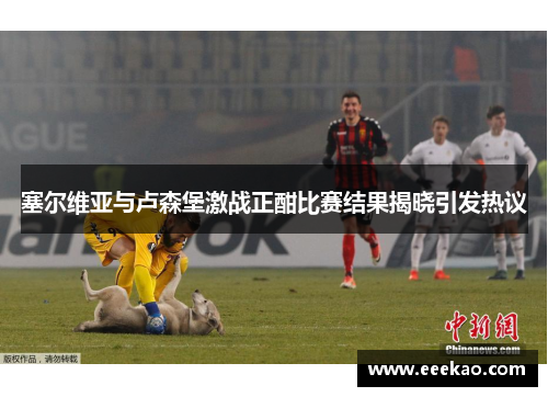 塞尔维亚与卢森堡激战正酣比赛结果揭晓引发热议